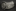 Used Ford Transmission